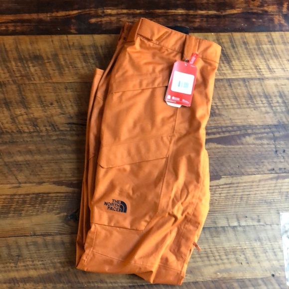 The North Face Mens Standard Fit Dryvent Gatekeeper Snowboarding Pant orange - Picture 1 of 11